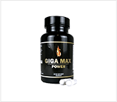 Supplement GIGA MAX POWER